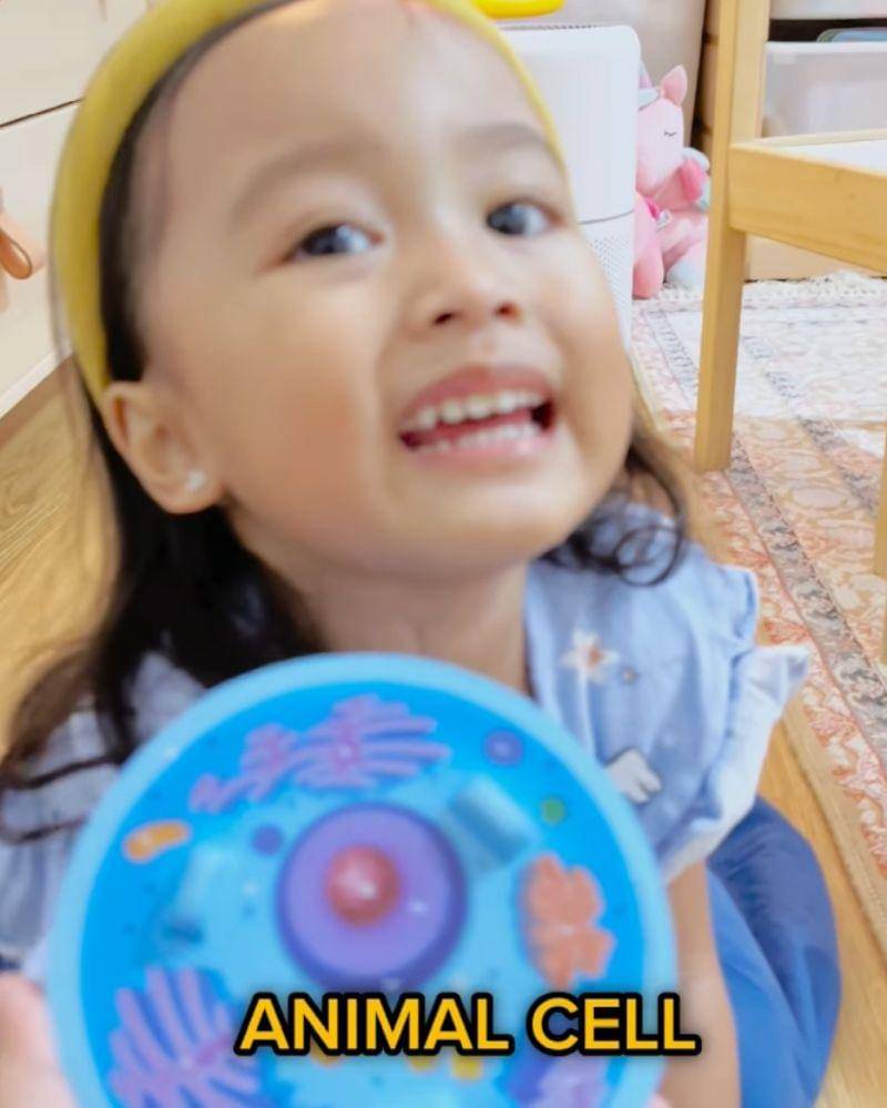 Instagram.com/ridwan16